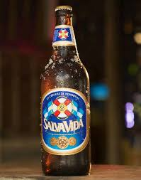 Salvavida caguama