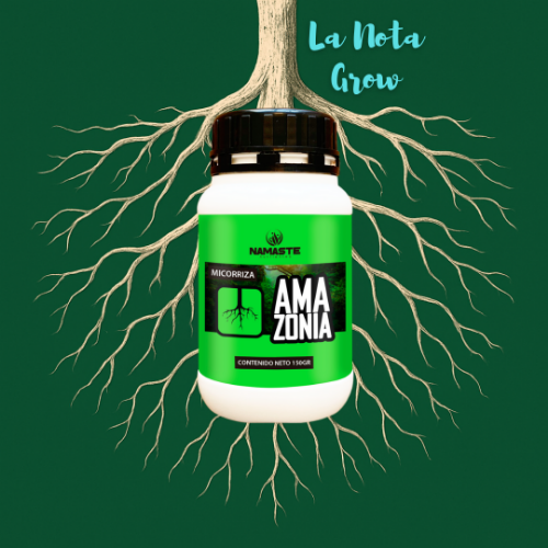Namaste Amazonia 150 G
