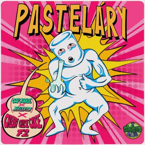 Pastelary (Foto)x4 SweedLab