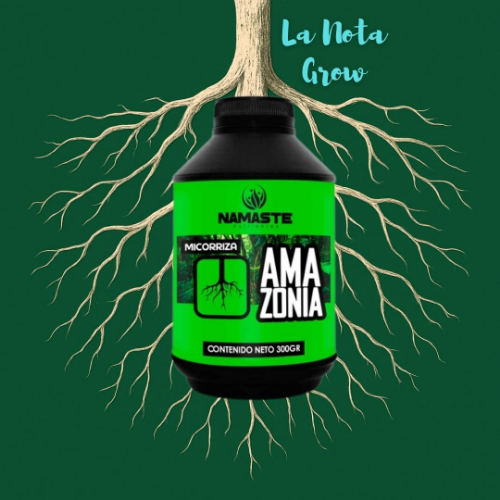 Namaste Amazonia 300G