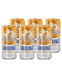 CERVEZA ANDINA X 310 ml