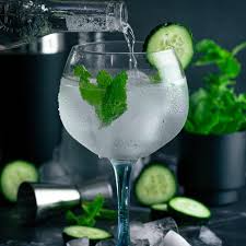 GIN TONIC