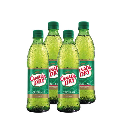 CANADA DRY X 300 ml