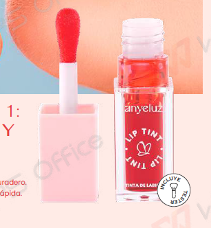 TINTA DE LABIOS ANYELUZ BL070 #4