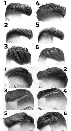 CORTE