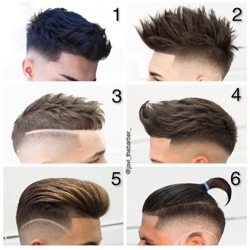 CORTE CABALLERO