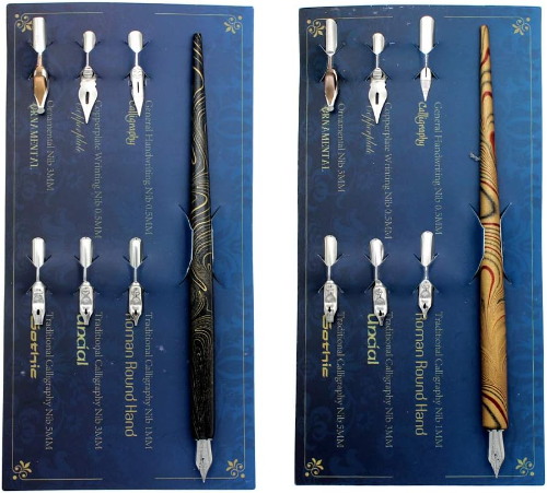 Set de pluma con 6 plumillas de repuesto