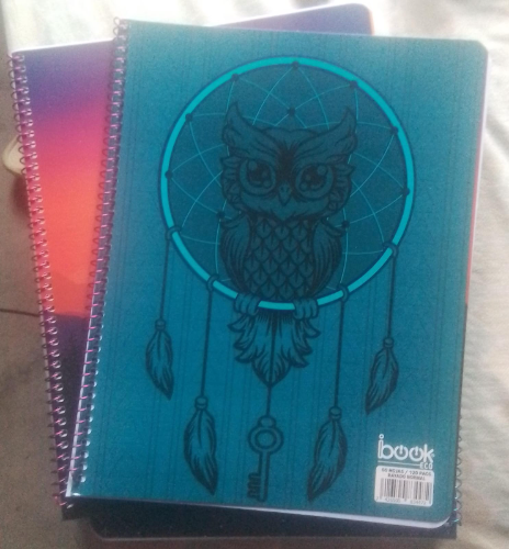 Cuaderno espiral rayado normal 120 pg. ibook eco
