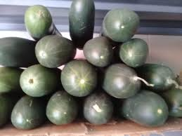 PEPINO und