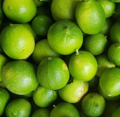 LIMON TAHITI (Limon persa)