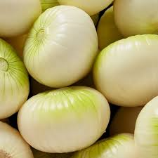 CEBOLLA HUEVO BLANCA