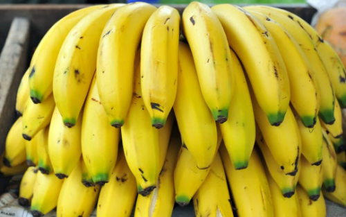 KILO DE BANANO