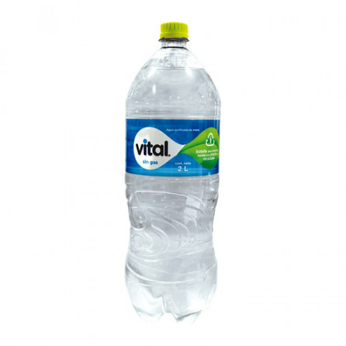 Agua Vital 2 L.
