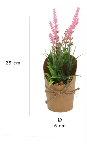 PLANTITA DECO