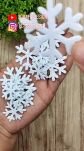 copo nieve nov