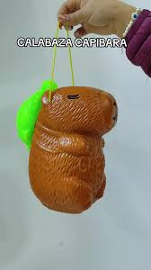 calabaza capibara octubre