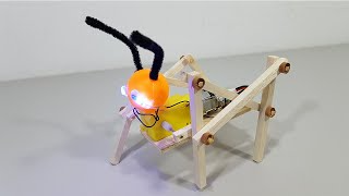 Kit de Robot hormiga