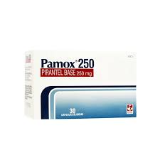 PAMOX PIRANTEL 250 MG X 3 CAP DEM35H30A2