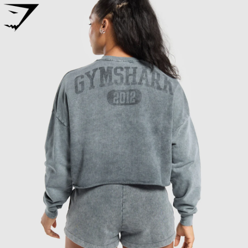 Collegiate Shadow Washed Midi Sweatshirt - Asphalt Grey(XS)