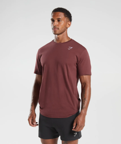 CREST T-SHIRT burgundy(M)