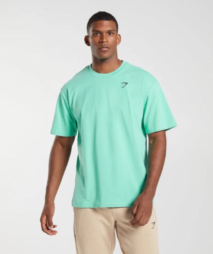 ESSENTIAL OVERSIZED oxi green(M)