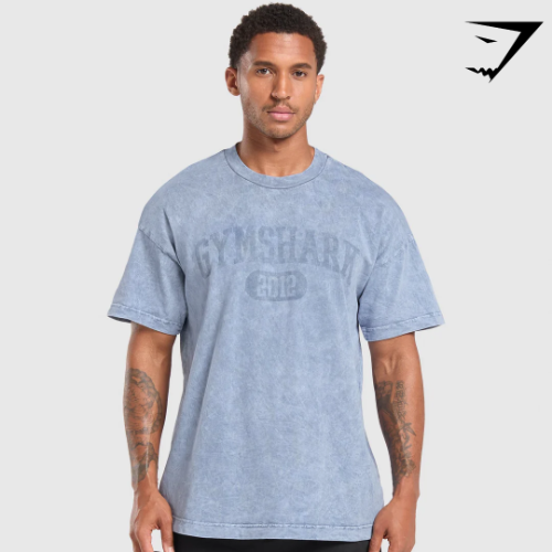 Collegiate Shadow Washed T-Shirt - Faded Blue(S)