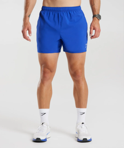ARRIVAL 5" SHORTS blue vintage(L)