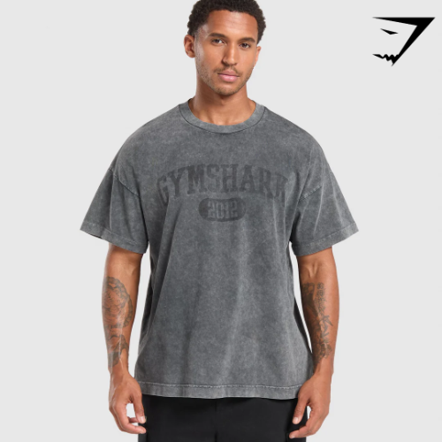 Collegiate Shadow Washed T-Shirt - Asphalt Grey(M)