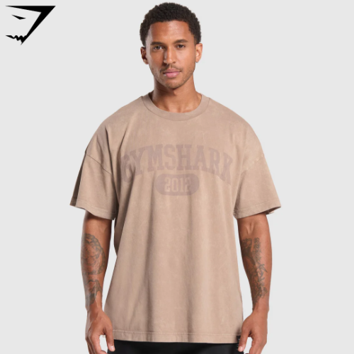 Collegiate Shadow Washed T-Shirt - Stone Pink(XS)