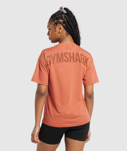 GS Power Oversized T-Shirt - Terracotta Orange(S)