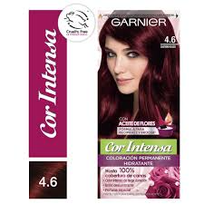 (Molisac) Garnier Tinte Cor Intense 4.60 x 1 Unidad