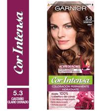 (Molisac) Garnier Tinte Cor Intense 5.3 x 1 Unidad