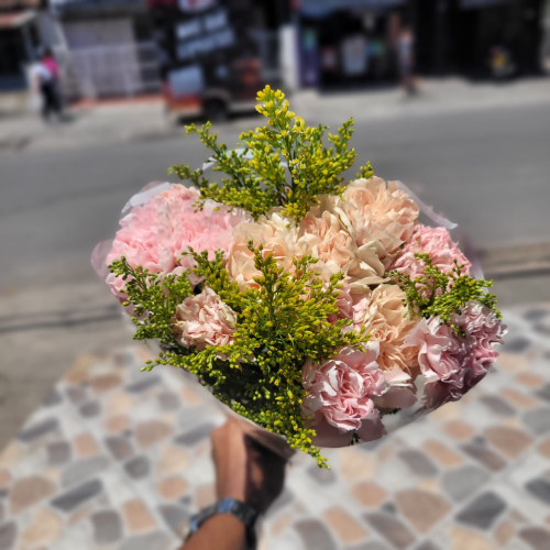 clavel