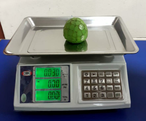 JBC-6302-60KG BALANZA