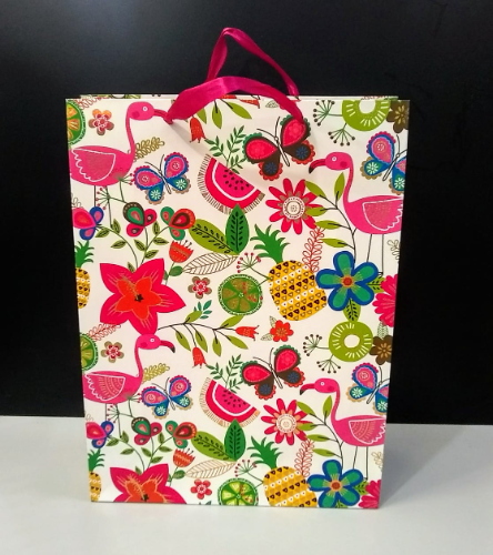 D1BOLSA REGALO MEDIANA