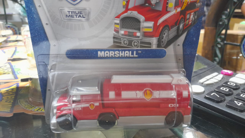 PAW PATROL TRUE METAL