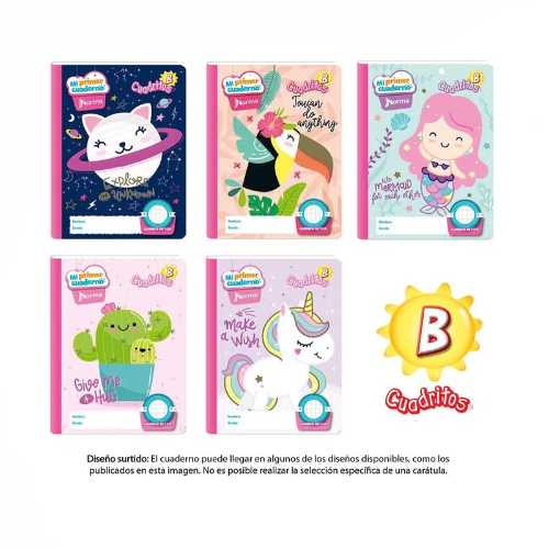 Cuadernos Cuadero B - 100 H Femenino*