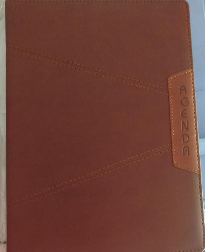 AGENDA PERMANENTE EJECUTIVA