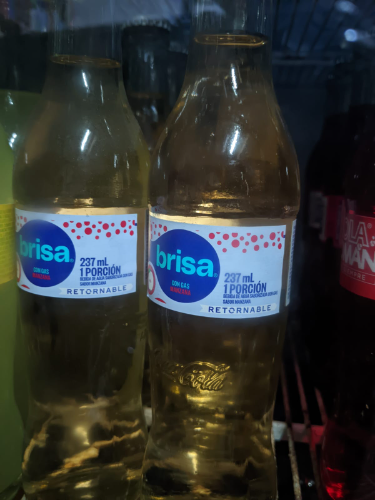 AGUA SABORIZADA 237ML VIDRIO