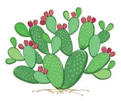 NOPAL