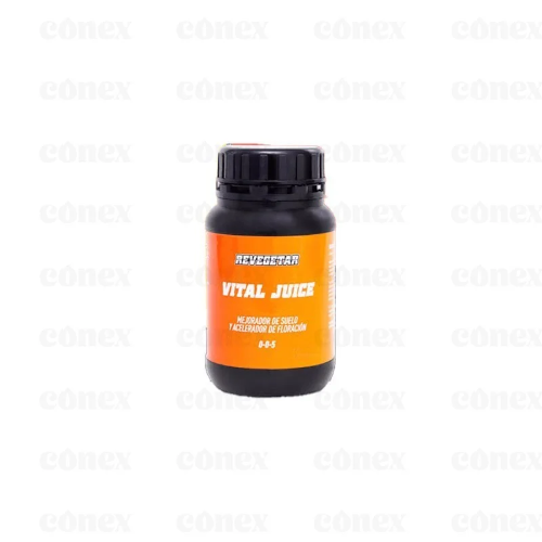 Revegetar Vital Juice 125ml