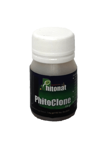 PHITO CLONE