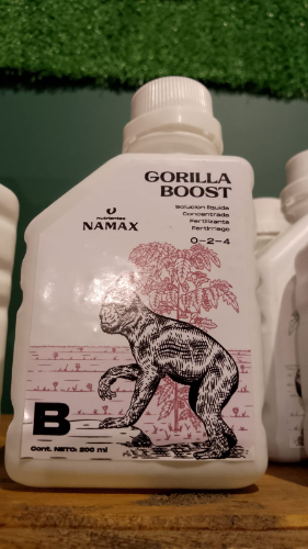 gorila boost b