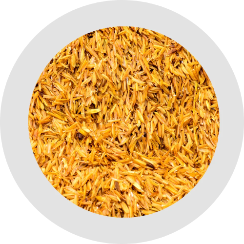 CASCARILLA DE ARROZ *20L