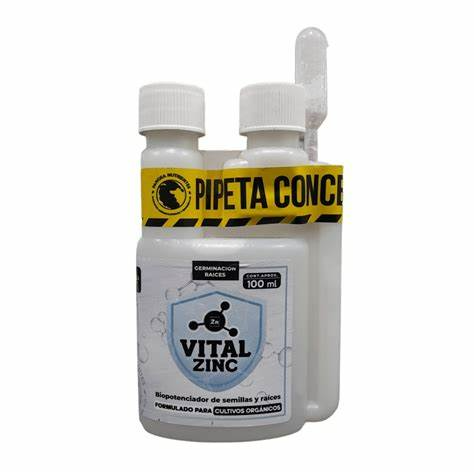 VITAL MG 100 ML PANGEA