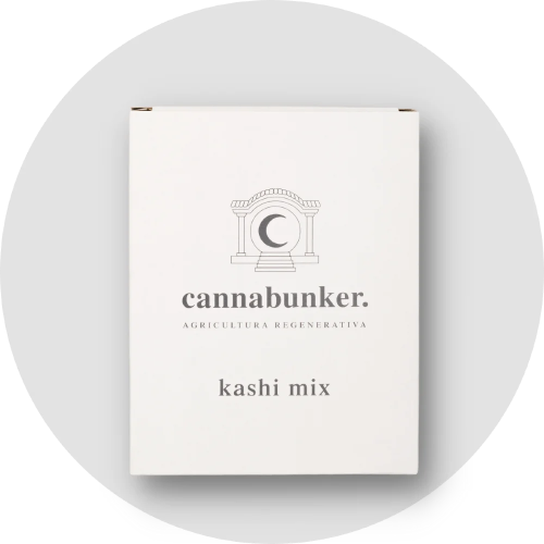 KASHI - 800CC