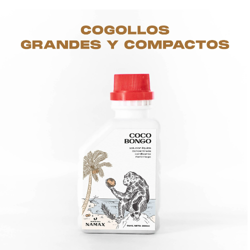 coco bongo 500ml