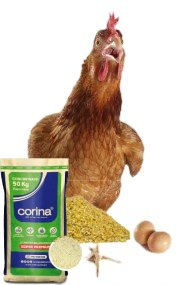 Corigallina Prepostura (Concentrado) Granel