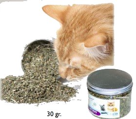 Catnip hierba gatera Pote 30gr