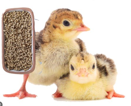 CORIPAVO INICIO PELLET granel